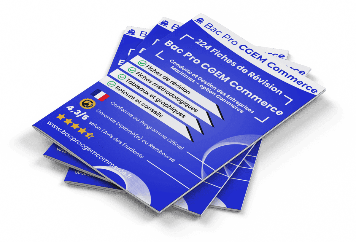 224 Fiches de Révision pour le Bac Pro CGEM Commerce